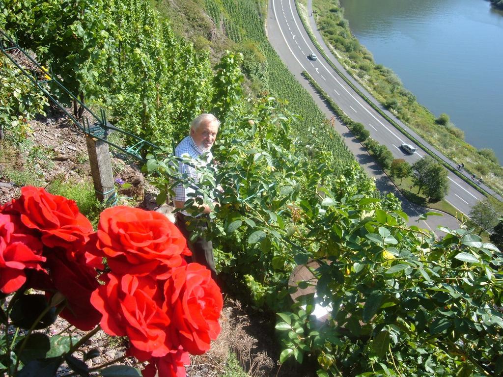 Kleines Winzerhaeuschen Bremm Room photo